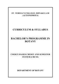 Curriculum & Syllabus Bachelor's Programme In