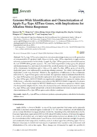 Genome-Wide Identification and Characterization of Apple P3A-Type Atpase Genes, with Implications for Alkaline Stress Responses