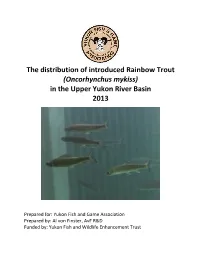 The Distribution of Introduced Rainbow Trout (Oncorhynchus Mykiss) in the Upper Yukon River Basin 2013