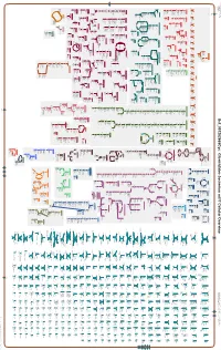 Generate Metabolic Map Poster