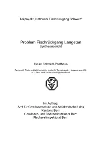 Problem Fischrückgang Langeten Synthesebericht