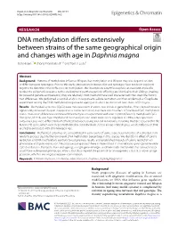DNA Methylation Differs Extensively Between Strains of the Same