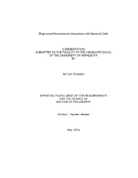 {Replace with the Title of Your Dissertation}