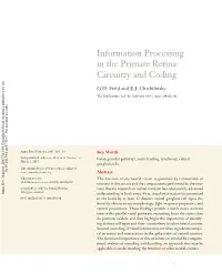 Information Processing in the Primate Retina: Circuitry and Coding