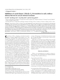 Inhibition of Casein Kinase 2 Blocks G2/M Transition in Early Embryo Mitosis