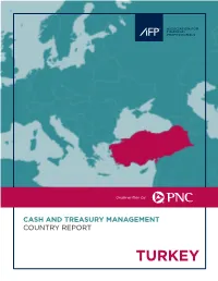 TURKEY Executive Summary
