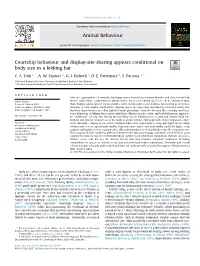 Courtship Behaviour and Display-Site Sharing Appears Conditional on Body Size in a Lekking Bat