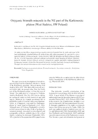 Oxygenic Bismuth Minerals in the NE Part of the Karkonosze Pluton (West Sudetes, SW Poland)