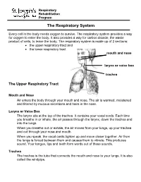The Respiratory System