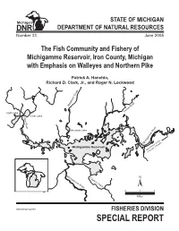 Michigan Department of Natural Resources (DNR)