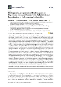 Phylogenetic Assignment of the Fungicolous Hypoxylon Invadens (Ascomycota, Xylariales) and Investigation of Its Secondary Metabolites