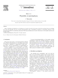 Phytoliths of Pteridophytes