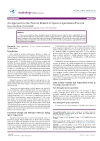 An Approach to the Factors Related to Sperm Capacitation Process