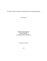 The Role of Ctip in Lymphocyte Development and Lymphomagenesis