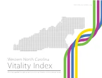 WNC Vitality Index (On-Screen Version)