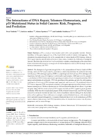 The Interactions of DNA Repair, Telomere Homeostasis, and P53 Mutational Status in Solid Cancers: Risk, Prognosis, and Prediction