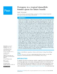 Protogyny in a Tropical Damselfish: Females Queue for Future Benefit
