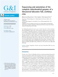 Sequencing and Annotation of the Complete Mitochondrial Genome Of