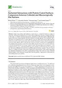 Surfactant Interactions with Protein-Coated Surfaces: Comparison Between Colloidal and Macroscopically Flat Surfaces
