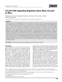 CCL20/CCR6 Signaling Regulates Bone Mass Accrual in Mice