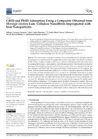 Cd(II) and Pb(II) Adsorption Using a Composite Obtained from Moringa Oleifera Lam