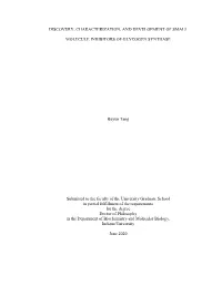 Discovery, Characterization, and Development of Small