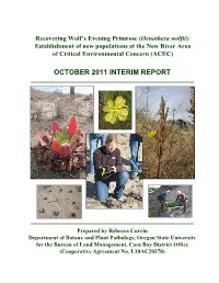 October 2011 Interim Report