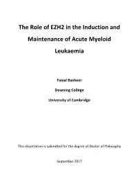 The Role of EZH2 in the Induction and Maintenance of Acute Myeloid Leukaemia