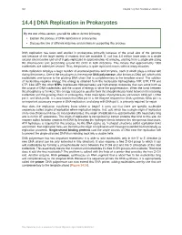 DNA Replication in Prokaryotes