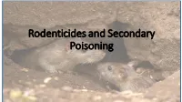 Rodenticides and Secondary Poisoning What Is a Rodenticide?