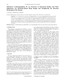 Glutamate Carboxypeptidase II: an Overview of Structural Studies And