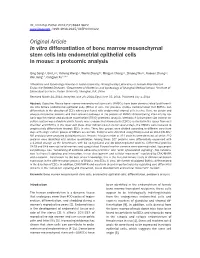 In Vitro Differentiation of Bone Marrow Mesenchymal Stem Cells Into Endometrial Epithelial Cells in Mouse: a Proteomic Analysis