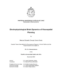 Electrophysiological Brain Dynamics of Visuospatial Planning