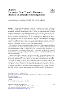 Horizontal Gene Transfer Elements: Plasmids in Antarctic Microorganisms