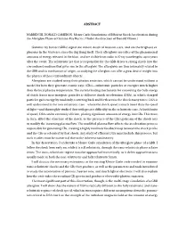 Monte Carlo Simulations of GRB Afterglows