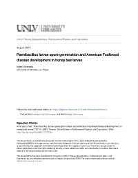 Paenibacillus Larvae Spore Germination and American Foulbrood Disease Development in Honey Bee Larvae