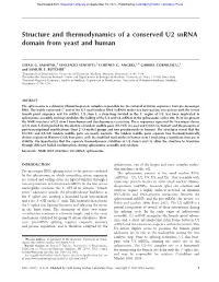 Structure and Thermodynamics of a Conserved U2 Snrna Domain from Yeast and Human
