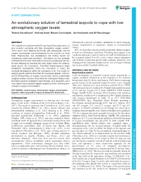 An Evolutionary Solution of Terrestrial Isopods to Cope with Low