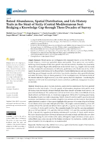 Batoid Abundances, Spatial Distribution, and Life History Traits