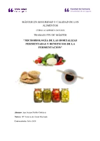 Microbiología De Las Hortalizas Fermentadas Y Beneficios De La Fermentación”