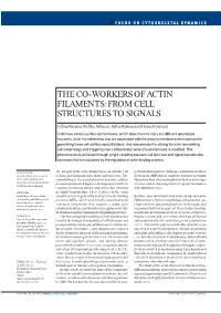 The Co-Workers of Actin Filaments: from Cell Structures to Signals
