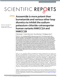 Azosemide Is More Potent Than Bumetanide and Various Other Loop