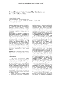 From CT Scan to Plantar Pressure Map Distribution of a 3D Anatomic Human Foot