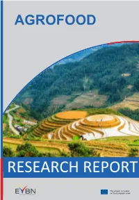 Research Report