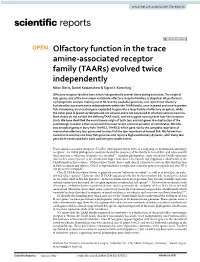 Evolved Twice Independently Milan Dieris, Daniel Kowatschew & Sigrun I