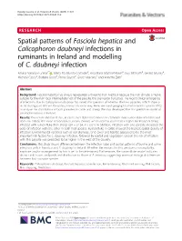 Spatial Patterns of Fasciola Hepatica and Calicophoron Daubneyi Infections in Ruminants in Ireland and Modelling of C