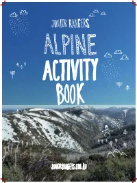 Alpine Activity Booklet