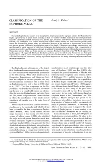 Classification of the Euphorbiaceae