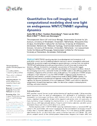 Quantitative Live-Cell Imaging and Computational Modeling Shed New