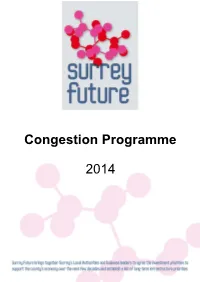 Surrey Future Congestion Programme 2014